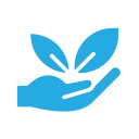 mosquito windows in cuddalore